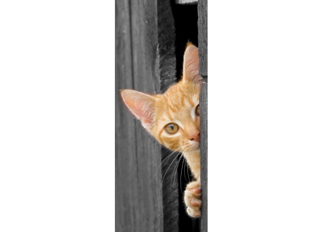 Наклейка на дверь Котёнок,выглядывающий из двери сарая